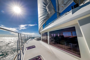 Port Douglas: Reef & Low Isles-krydstogt på luksuskatamaran