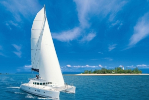 Port Douglas: Reef & Low Isles-krydstogt på luksuskatamaran
