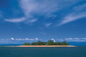 Port Douglas: Reef & Low Isles-krydstogt på luksuskatamaran