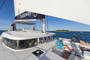 Port Douglas: Reef & Low Isles-krydstogt på luksuskatamaran