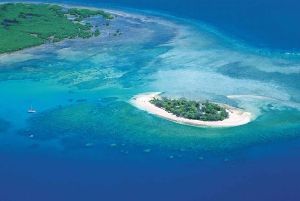 Port Douglas: Reef & Low Isles-krydstogt på luksuskatamaran