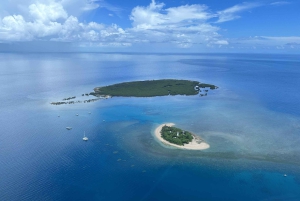 Port Douglas: Reef & Low Isles-krydstogt på luksuskatamaran