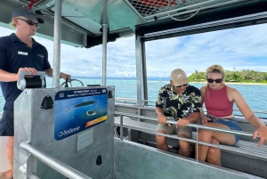 Port Douglas: Reef & Low Isles-krydstogt på luksuskatamaran