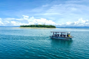 Port Douglas: Reef & Low Isles-krydstogt på luksuskatamaran