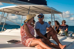 Порт Дуглас: круиз на закате на роскошном катамаране