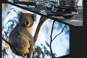 Premium omvendt tur på Great Ocean Road med luksusbus og afhentning på hotellet