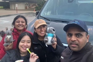 Premium omvendt tur på Great Ocean Road med luksusbus og afhentning på hotellet