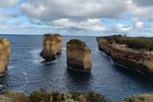 Premium omvendt tur på Great Ocean Road med luksusbus og afhentning på hotellet