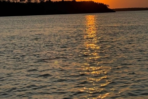 Premium omvendt tur på Great Ocean Road med luksusbus og afhentning på hotellet
