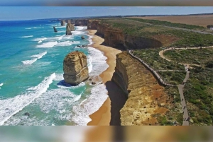 Premium omvendt tur på Great Ocean Road med luksusbus og afhentning på hotellet
