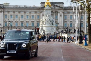 Privétour met de taxi door Londen Big Sights