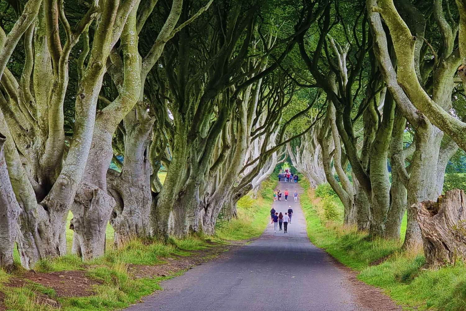 Privater Landausflug vom Belfaster Kreuzfahrtterminal