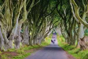 Privater Landausflug vom Belfaster Kreuzfahrtterminal