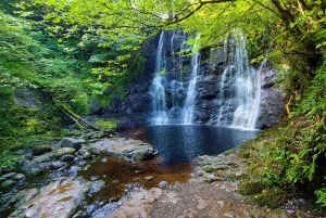 Privater Landausflug vom Belfaster Kreuzfahrtterminal