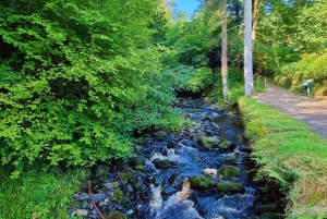 Privater Landausflug vom Belfaster Kreuzfahrtterminal