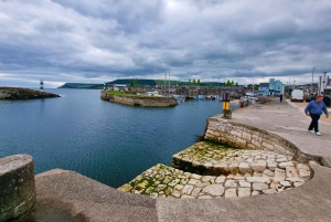 Privater Landausflug vom Belfaster Kreuzfahrtterminal