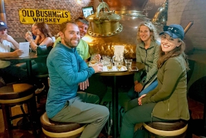 Privater Landausflug vom Belfaster Kreuzfahrtterminal