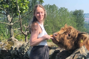 Privat omvisning i høylandet, innsjøer og slott fra Edinburgh