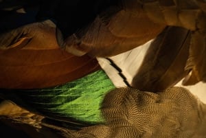 Ричмонд-парк, Лондон: мастер-класс по фотографии дикой природы на закате