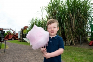 Sarina: Guided Tour of the Sarina Sugar Shed with Tasting