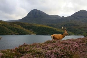Scotland: Orkney and Northern Coast 5-Day Tour