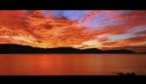 Shane Batham - Into the Blue