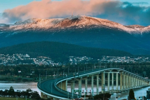 Береговая экскурсия: Hobart Wanderer