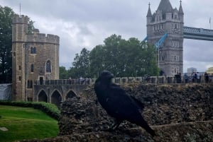 Tur med en lille gruppe til Tower of London, kronjuvelerne og det hvide tårn