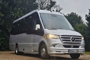 Transfer fra Southampton Cruise Port til London med rundtur