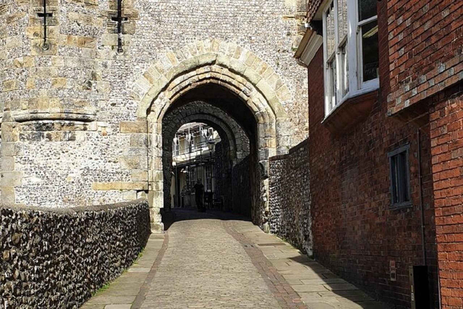 Southampton : Prise en charge du bateau de croisière visite privée