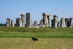 Transfert privé en croisière à Southampton - Londres via Stonehenge