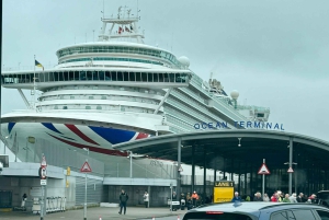 Southampton: Privat minibustransport til London