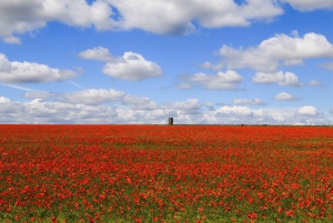 Southampton til London: Transfer med stop ved Stonehenge