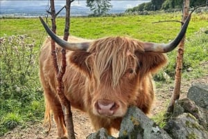 Сент-Эндрюс, Фолклендский дворец, экскурсия по рыбацким деревням Файфа