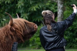 エディンバラ発、セント・アンドリュースの漁村ファイフプライベートツアー