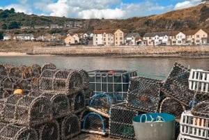 エディンバラ発、セント・アンドリュースの漁村ファイフプライベートツアー