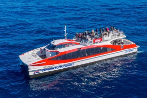 Сидней: 2,5-часовой круиз с наблюдением за китами и дикой природой