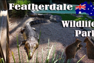 Sydney: Featherdale Park & Sydney Zoo Day Tour