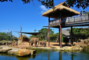 Sydney: Featherdale Park & Sydney Zoo Day Tour