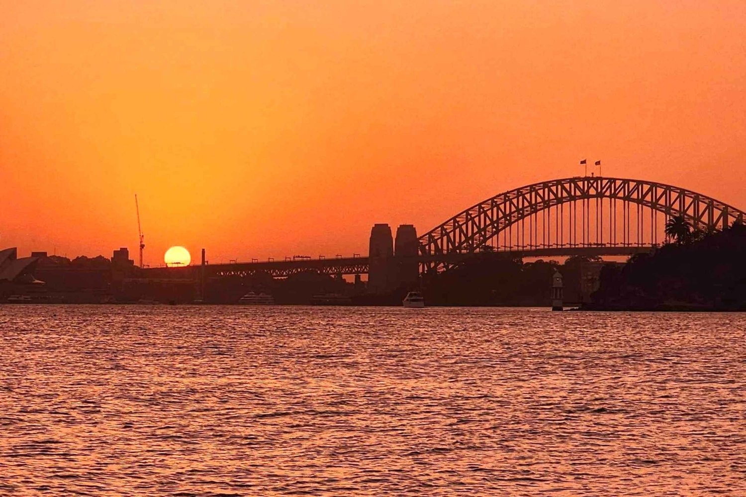 Sydney: Golden Glow Sunset Harbour Cruise med 1 drink