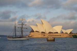 Sydney: Harbor Sunset Cruise with Dinner