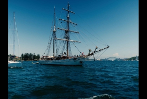Sydney: Harbor Sunset Cruise with Dinner