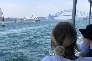 Sydney: Hafenrundfahrt mit Mittagsbuffet