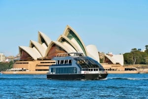 Port de Sydney : croisière avec déjeuner à bord d'un bateau en verre