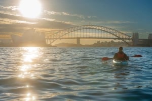 Sydney: tour in kayak all'alba del porto