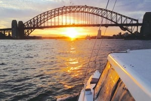 Sydney Harbour: Cruise med katamaran i solnedgangen