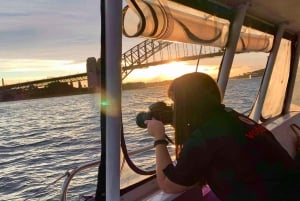 Sydney Harbour: Cruise med katamaran i solnedgangen