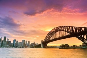 Sydney Harbour: Tall Ship Afternoon Cruise