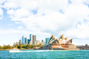 Sydney Harbour: Tall Ship Afternoon Cruise
