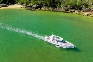 Cruzeiro ao crepúsculo no porto de Sydney